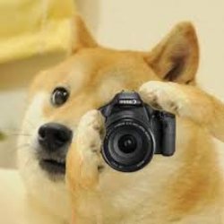 Camera Doge Meme Template