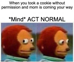 When you take a cookie without permision Meme Template
