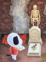 Animal Crossing Ritual Meme Template