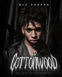 Cottonwood Album Cover NLE Choppa Meme Template