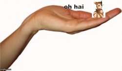 oh hai Meme Template
