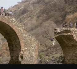 Ethiopian bridge Meme Template