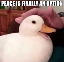 peace is finally an option Meme Template