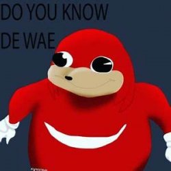 do you kno de wae? Meme Template