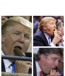 Trump cocksucker Meme Template