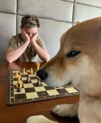 Doge playing chess Meme Template