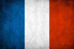 Vintage French flag Meme Template