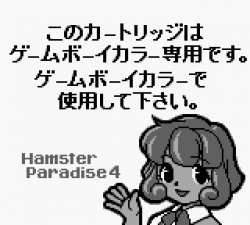 Hamster Paradise 4 Meme Template