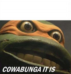 Cowabunga it is Meme Template