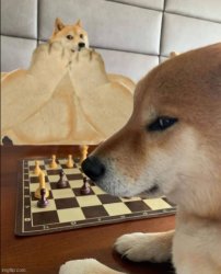 Buff Doge vs Smort Cheems Meme Template