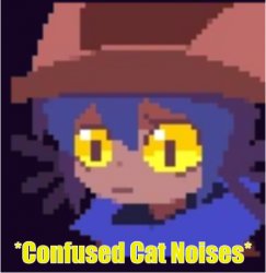 confused cat noises Meme Template