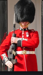 Guard bearskin Meme Template