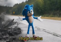 Sonic has no idea Meme Template