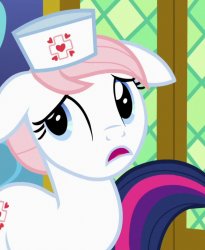 Nurse Redheart Updating Equestria On The Pandemic Meme Template