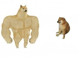 Dog comparison Meme Template