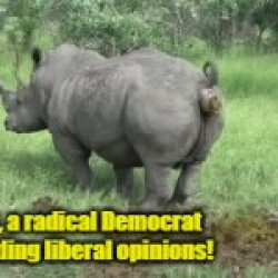 Rhino Liberal Dem opinions Meme Template