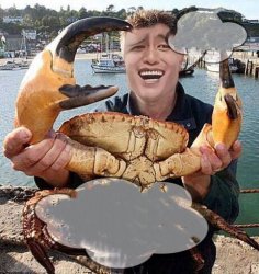 Man and crab Meme Template