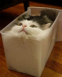 cats are liquid Meme Template