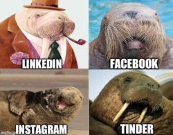 John Bolton walrus social media Meme Template