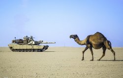 Camel vs Tank Meme Template