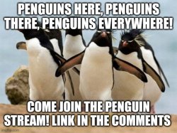 Penguin-stream! Owner: BurgerLover321 Meme Template