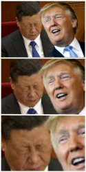 Shame of Asia (Xi) Meme Template