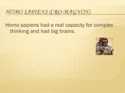 complex thinking sapiens Meme Template