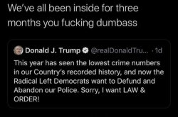 Trump This Year Lowest Crime Rate Dumbass Statement Meme Template
