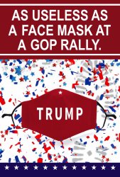 as useless as a face mask at a gop rally Meme Template