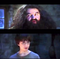 tu es un sorcier harry Meme Template