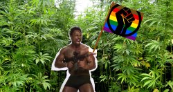 Gay Black Pot Farmers with Machineguns Meme Template