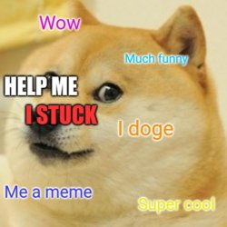 Doge Meme Template