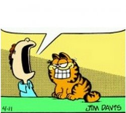 Jon Arbuckle yelling at Garfield the cat Meme Template