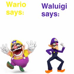 Views on Wario and Waluigi Meme Template