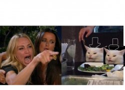 Woman screaming at 2 cats Meme Template