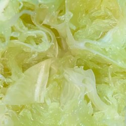 Cabbage or a Lime Meme Template