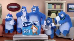 Toilet paper bears getting weird Meme Template
