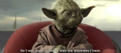 Yoda Wookies Meme Template