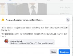 Facebook Bans Us to Protect Nazi Terrorists Meme Template