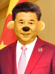 Xi Pooh Meme Template