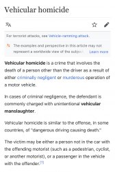 Vehicular homicide Meme Template