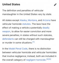 United States vehicular homicide Meme Template
