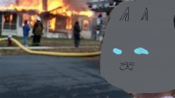 Disaster Cat Meme Template