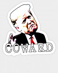 Trump Coward Meme Template