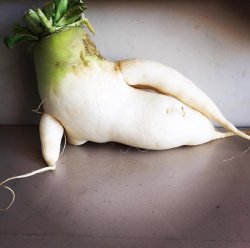 Seductive radish 3 Meme Template