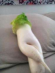 Seductive radish 7 Meme Template