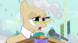 Mayor Mare Meme Template