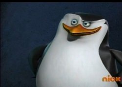 Skipper Penguins of Madagascar Meme Template