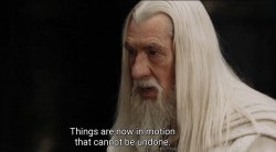 Gandalf Cannot be undone Meme Template