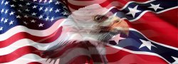 eagle us/confederate flag Meme Template